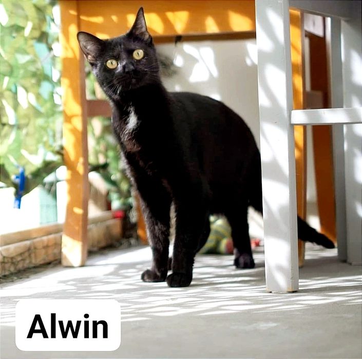 Maluchy. Chłopczyk i dziewczynka.