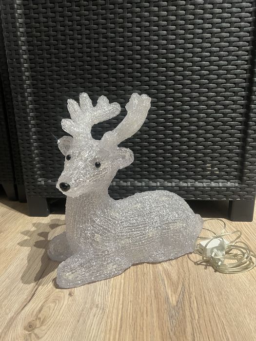 Jelonek podswietlany