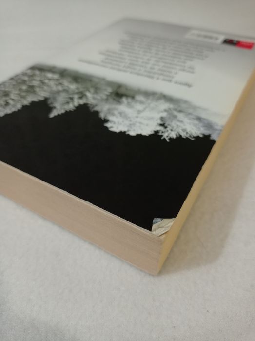 A princesa de gelo - Camilla Läckberg