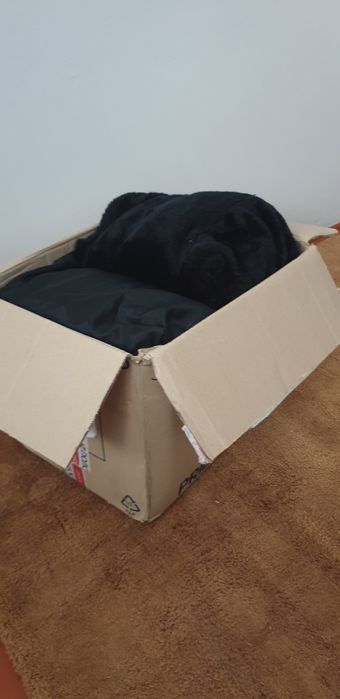 Одяг 44 46 розміру жіночий