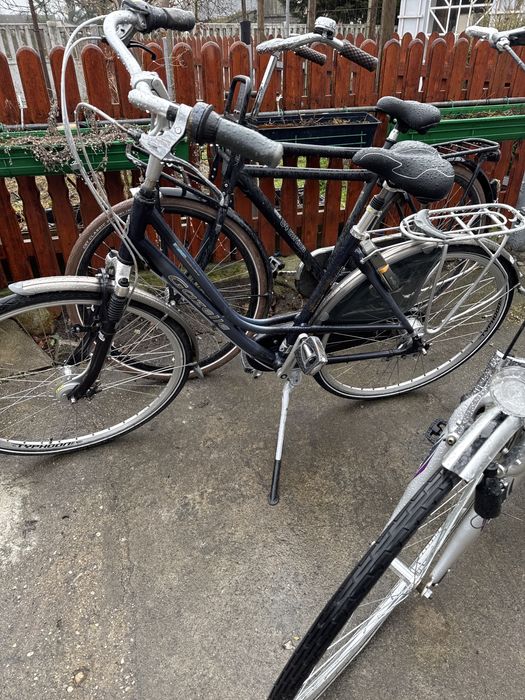 Rower holenderski Gazelle Giant Kuga