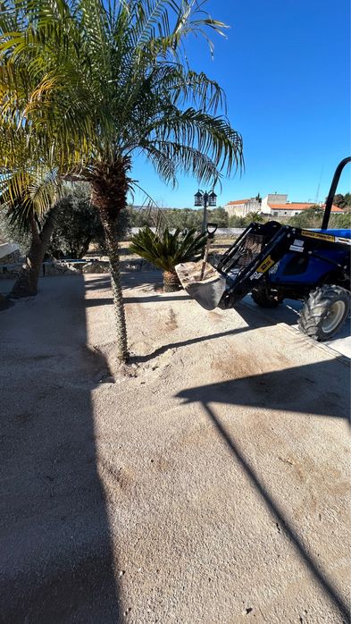 Limpeza de terrenos e serviços agrícolas e florestais .