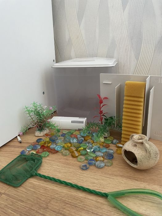 Міні-акваріум з комплектом (для півника або маленьких рибок)