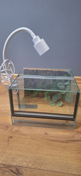 Terrarium 30x30x20