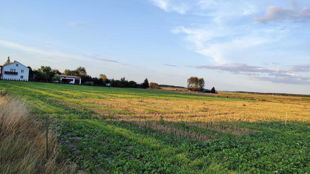 Działka budowlana we wsi Radomyśl 960m2