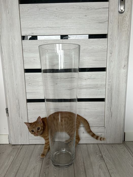 Wazon przeźroczysty ikea wysoki 69,5 cm