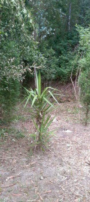 Vendo terreno 1960m²