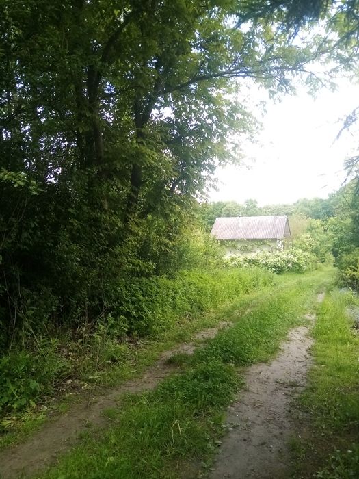 Продається дача в Демянів Лаз