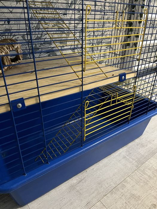 Клітка для пацюка, шиншили