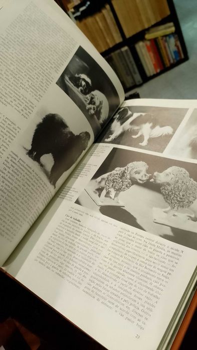 Tudo sobre Cães Grande Enciclopédia Ilustrada - Michael Geary