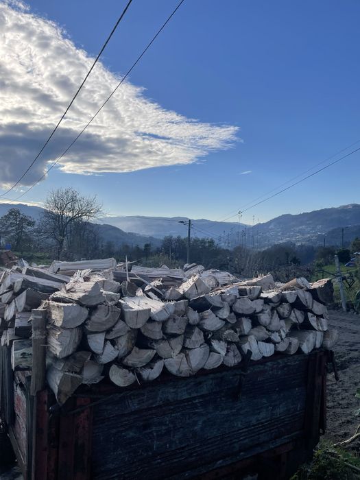 Vendo lenha com quiser