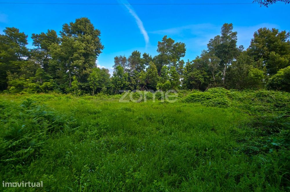 Terreno Agrícola na Zona da Mesquita em São Roque do Pico