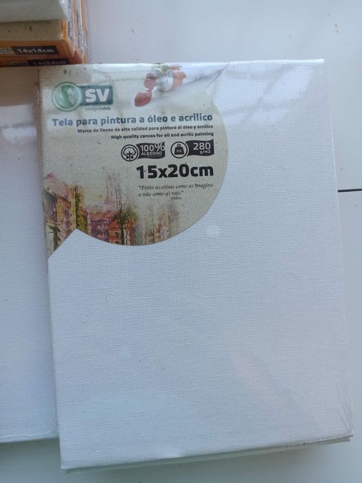 Telas pequenas, novas, para óleo e acrilico várias medidas 20x20