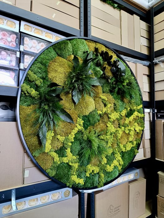 Панно з Моху. Декор з Мохом. Фітокартина зі Стабілізованим Мохом
