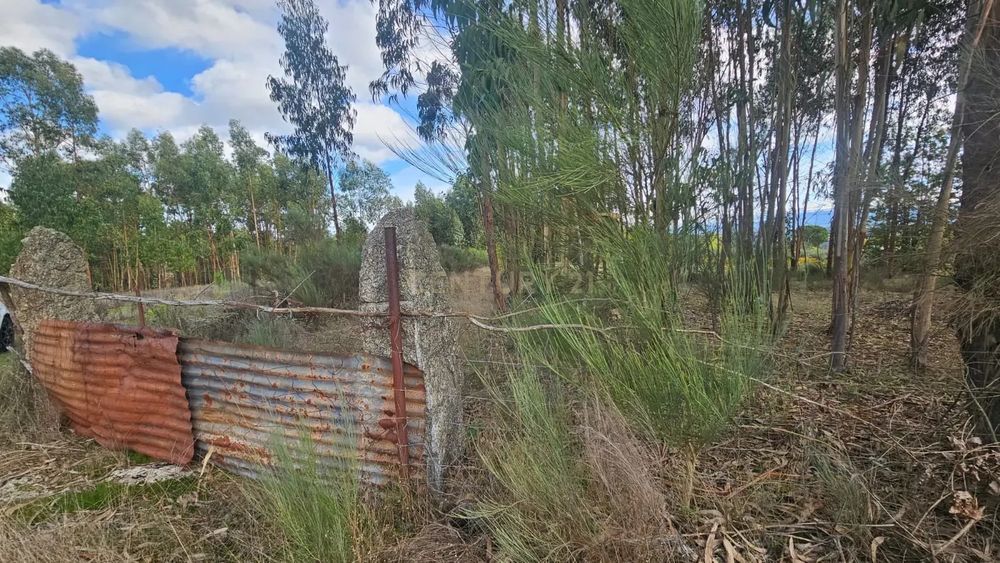 Terreno 10491m2 Agrícola Com árvores de fruto  e Poço e charca