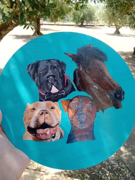 Quadros de pets feitos á mão