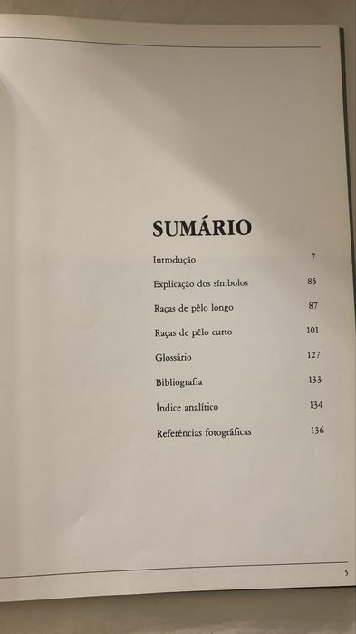 Todos os Gatos - Gino Pugnei