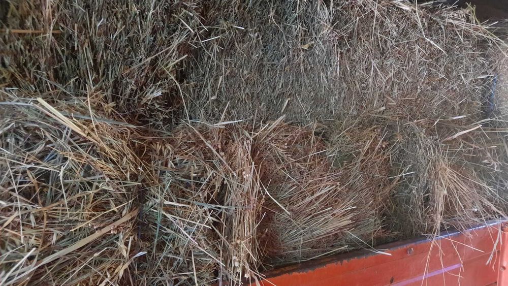 Fardos de Palha / Feno