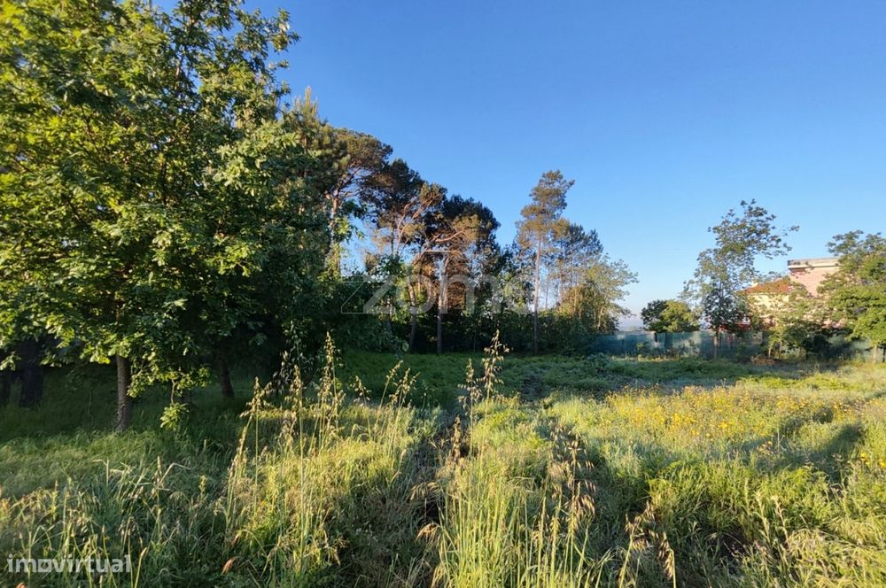 Terreno Urbanizável Vila Chã de Sá