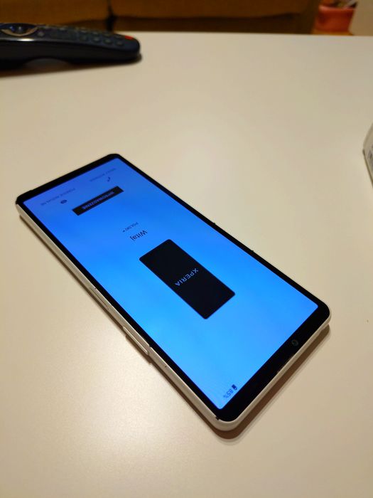Sony Xperia 10 V