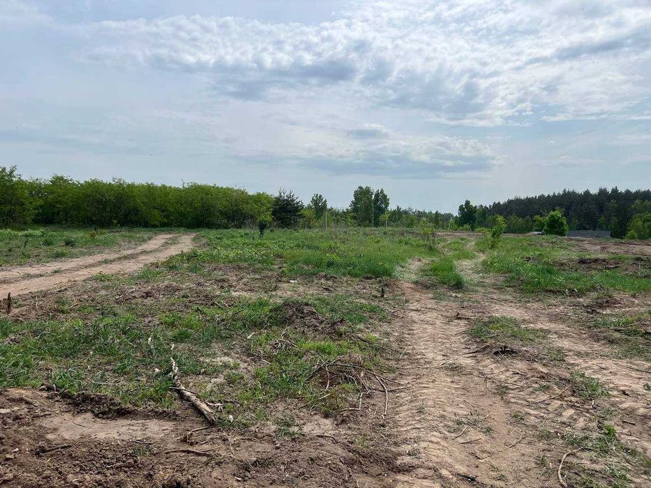 Краєвид, ліс і тиша. Ділянки під забудову