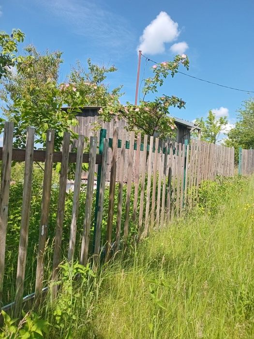 дача в с Поправка