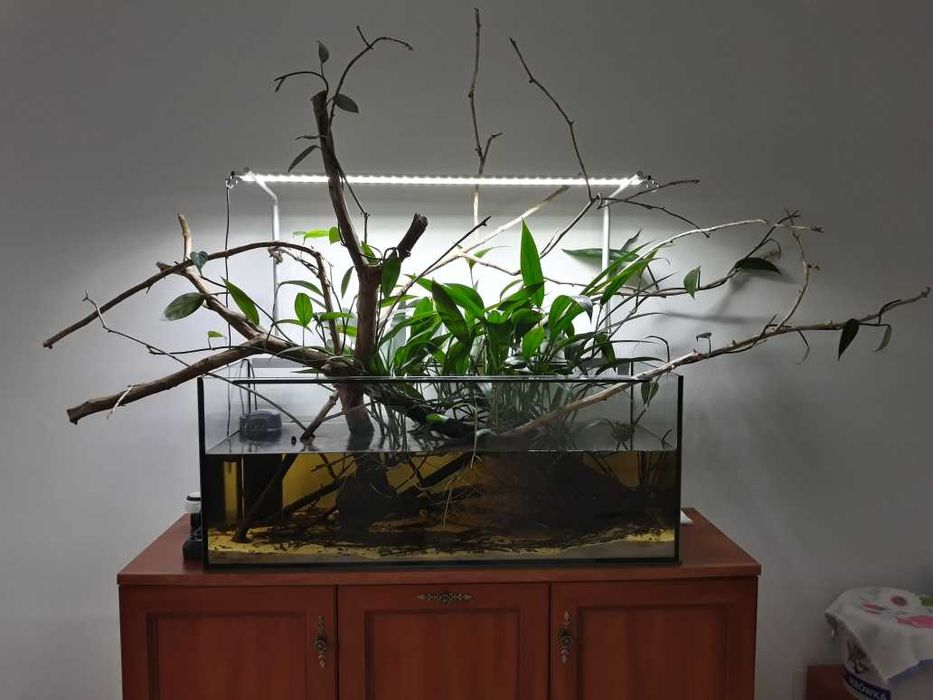 Akwarium 160l z wieloma akcesoriami + oddzielnie roślina