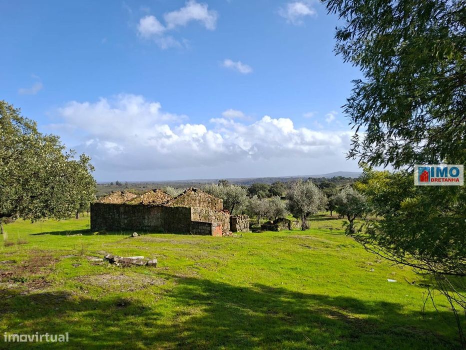 Quinta com ruína em São Miguel D´Acha