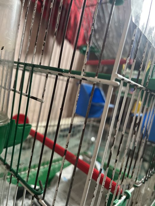 Клітка з аксесуарами для хвилястих папуг, та інших декоративних птахів