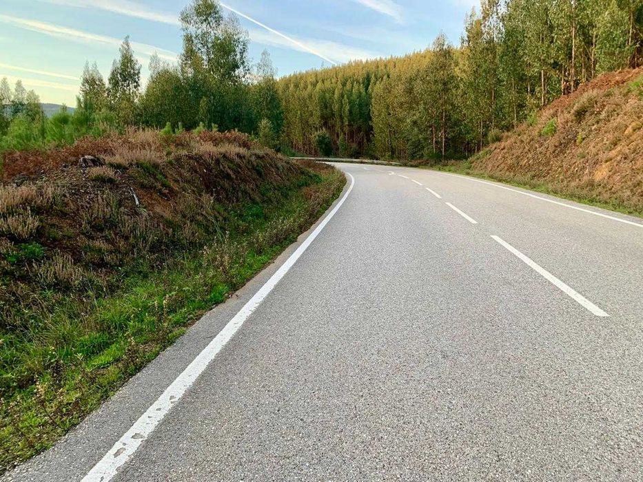 2 terrenos juntos       290m de margem de estrada nacional 344