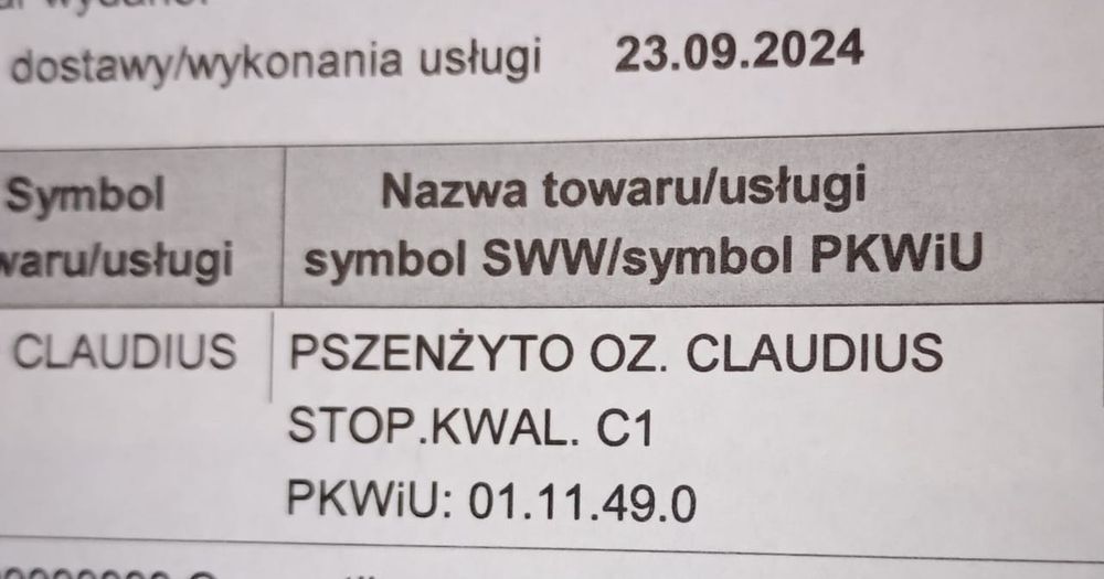 Pszenżyto Claudius