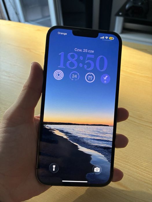 iPhone 13 pro max