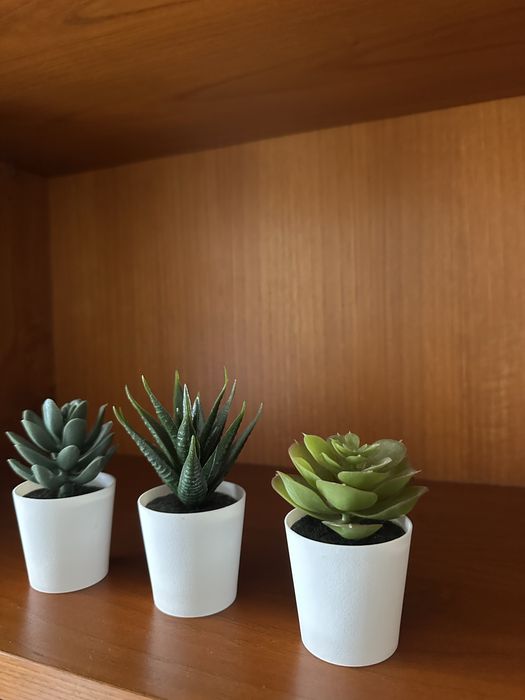 Conjunto 3 vasos plastico