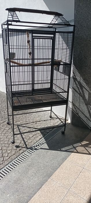 Vende  GAIOLA Papagaio