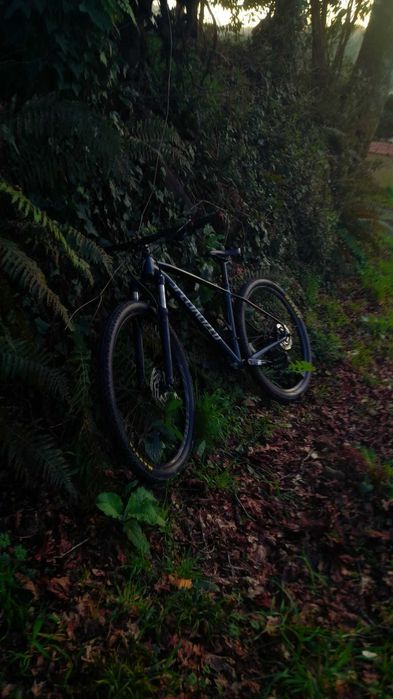 Specialized rockhopper expert 2x 2019