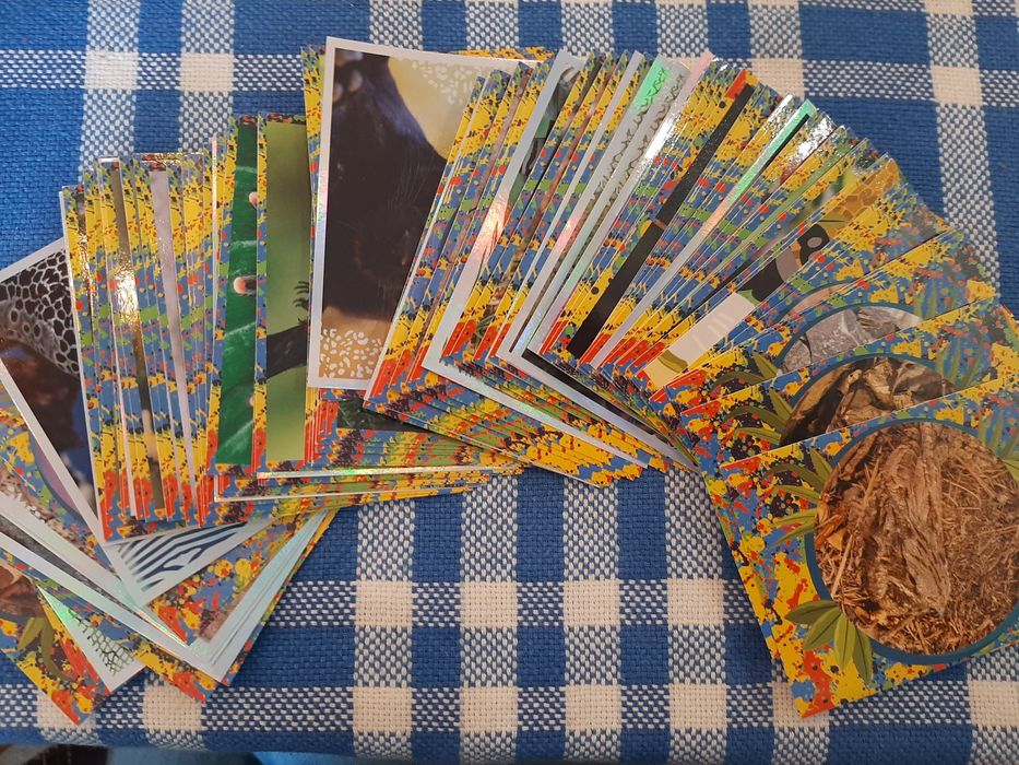 Cromos Mundo Animal 1001 cores