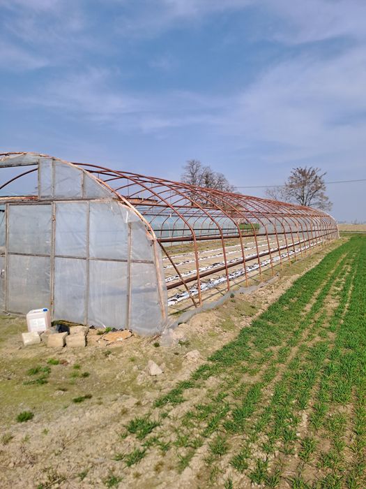 Sprzedam tunel foliowy 30x7