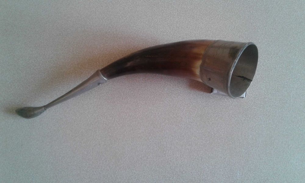 Рог с серебрянными вставками (Самоделка)