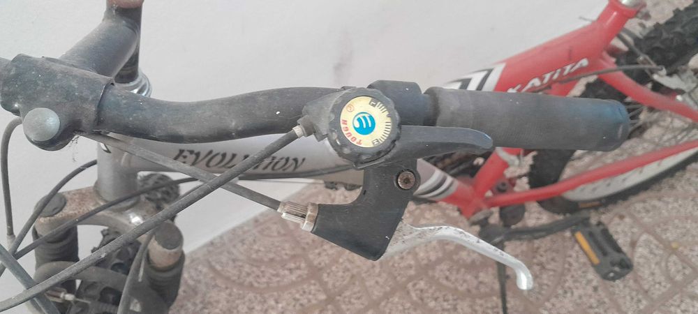 bibicleta junior