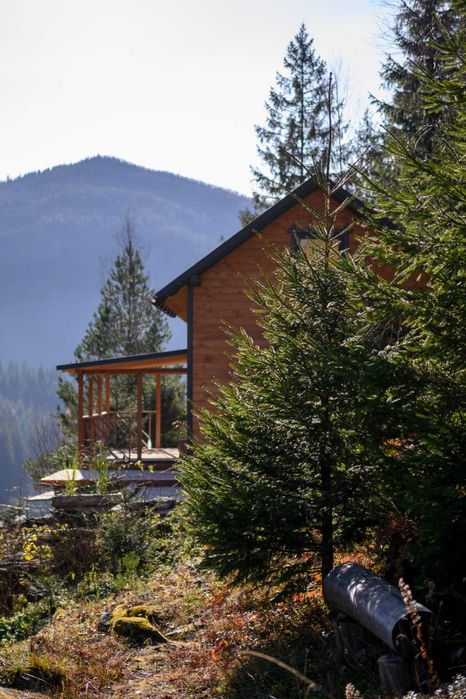 Відпочинок, котедж в Карпатах