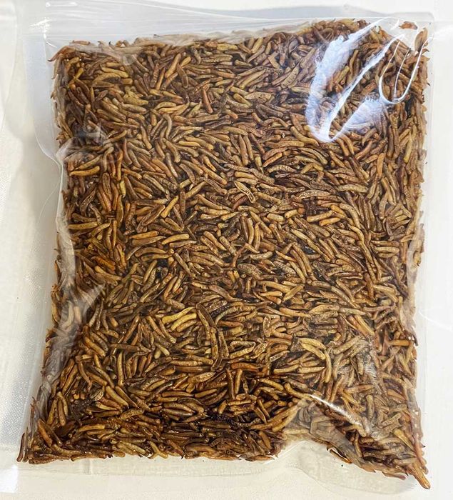Balmax, Suszone larwy muchy (mucha domowa) / Fly larvae / 500g
