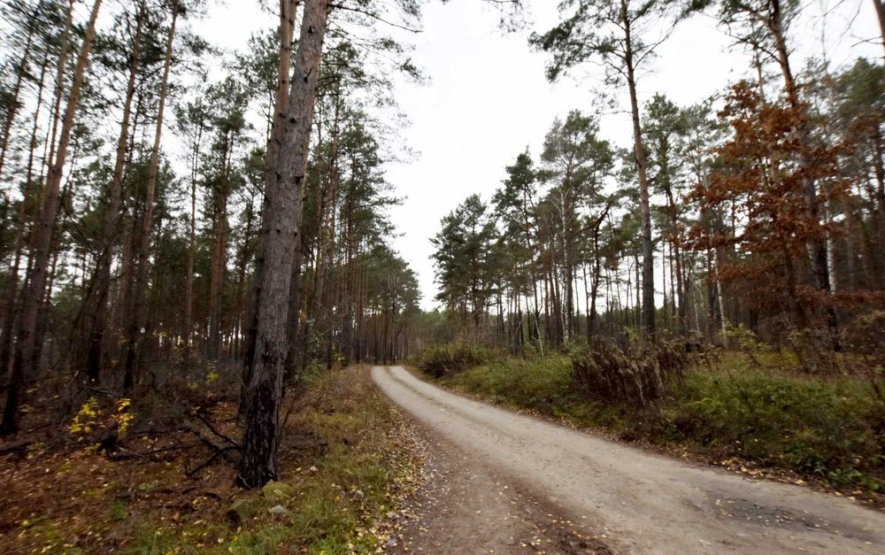 Działka na sprzedaż Osiek nad Wisłą
