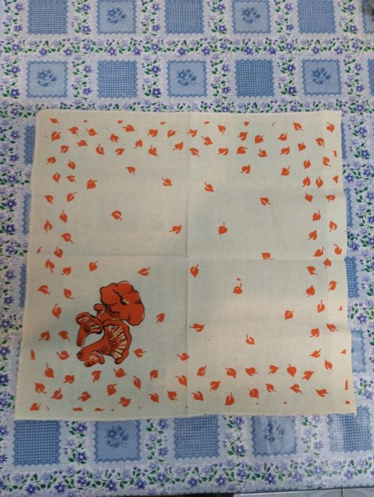 Платочек носовой