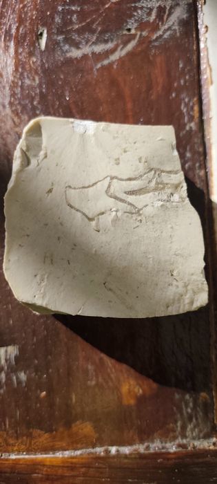 Fóssil em calcário e  quartzo