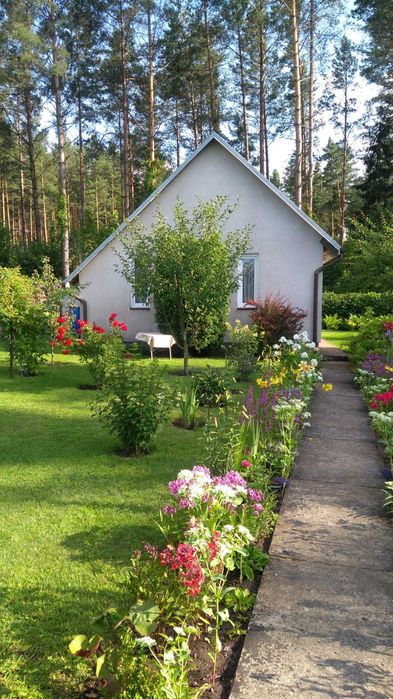 Ogródek Działkowy ROD przy ŚCIANIE LASU Białystok/Wasilków - Widok 2