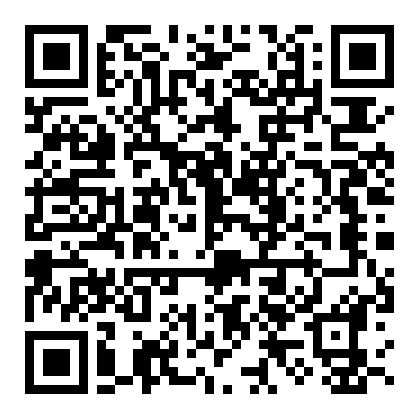 Altówka lutnicza + smyczek + futerał