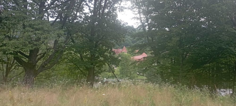 Ціну змінено! Продаємо ділянку у Квітки Полонини Солочин Закарпатськ