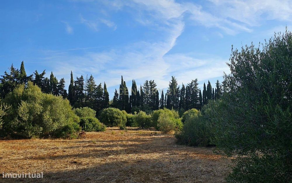 Quinta em Lagos, Praia da Luz,  4,6 HA, 2 casas e 2 Armazéns