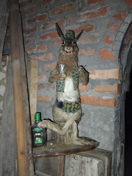 Чучело    зайца.