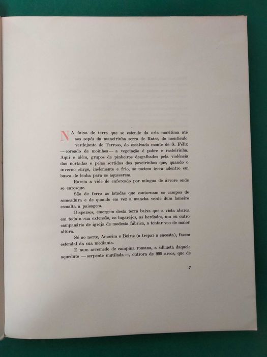 Portas Ornamentadas - José Luís Brandão de Carvalho